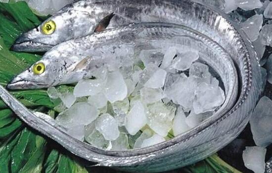 新鮮海產(chǎn)：冰凍帶魚