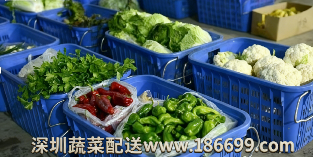 深圳食堂蔬菜配送為何選擇佳惠鮮蔬菜配送中心？