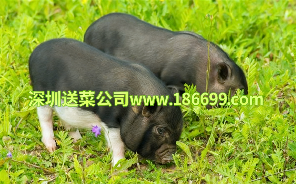 1763462626.png 1.png