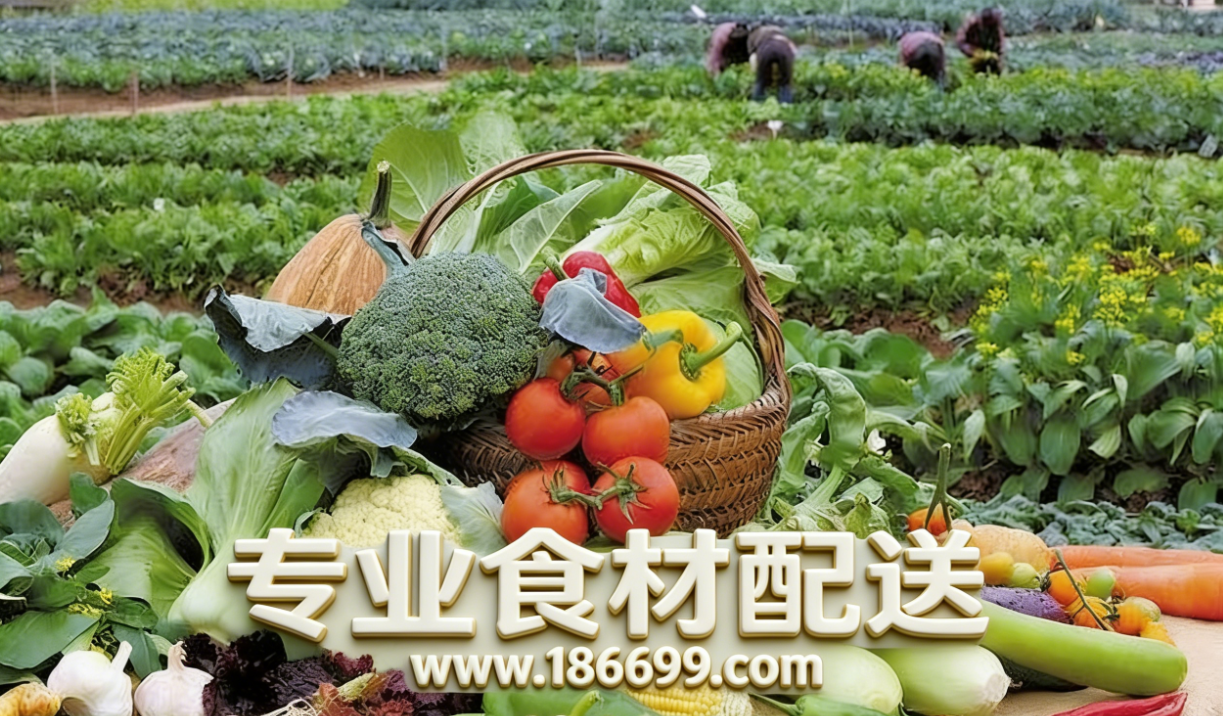惠州食材供應(yīng)鏈為您普及：冬季夏季的蔬菜營(yíng)養(yǎng)有什么差別？