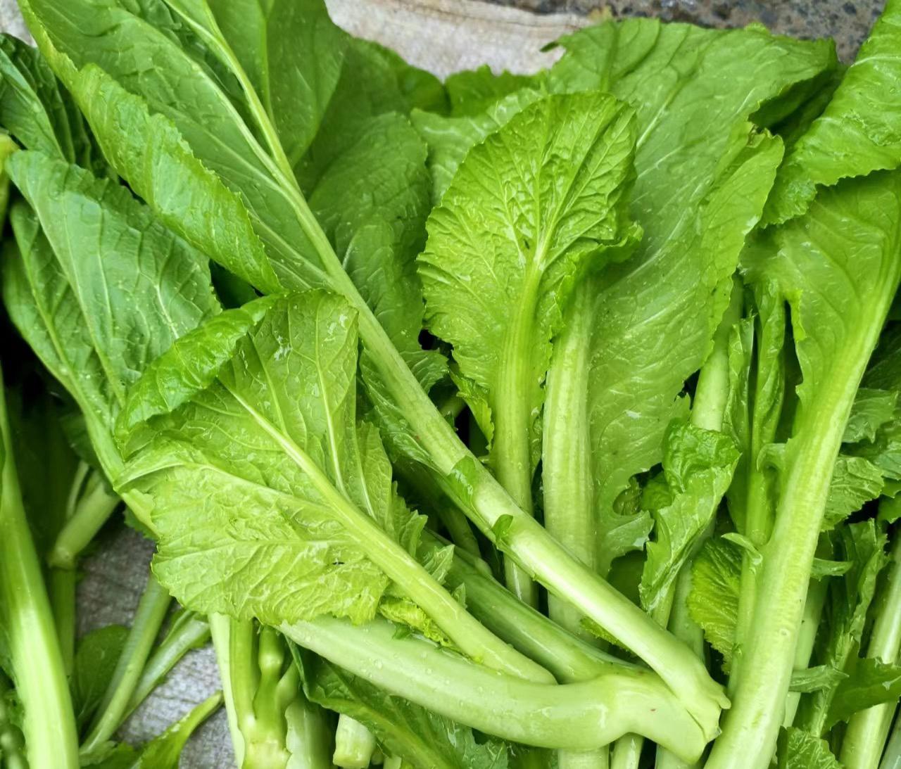 深圳蔬菜配送公司科普：為什么冷凍蔬菜不宜反復(fù)解凍冷凍？