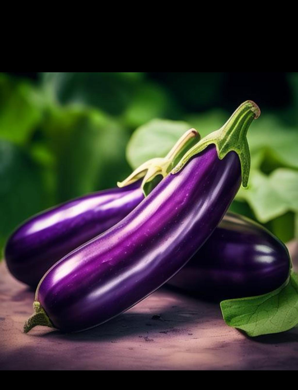 惠州食材配送中心談一談：茄子有哪些營養(yǎng)價值