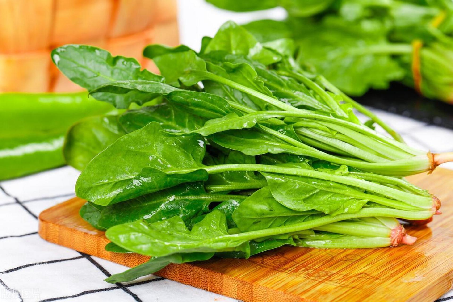東莞食材生鮮配送中心為您科普菠菜的營(yíng)養(yǎng)功能價(jià)值
