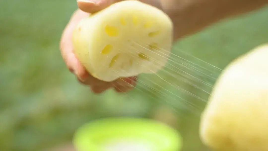 藕斷為什么會絲連呢，東莞食材生鮮配送中心與您談一談