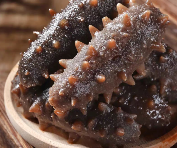 海參為什么是海底的軟黃金？