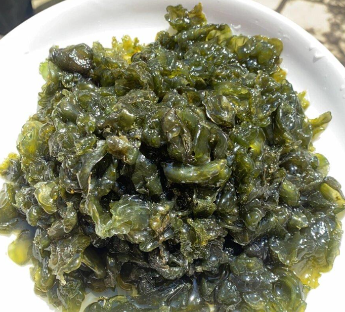 地皮菜：雨后才有的特產(chǎn)，吃的是山野的饋贈(zèng)